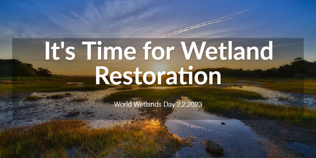 It's Time for Wetland Restoration